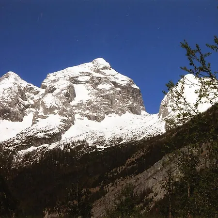 Chalet Architect's - Serenity And Greenery In The Highlands Soca